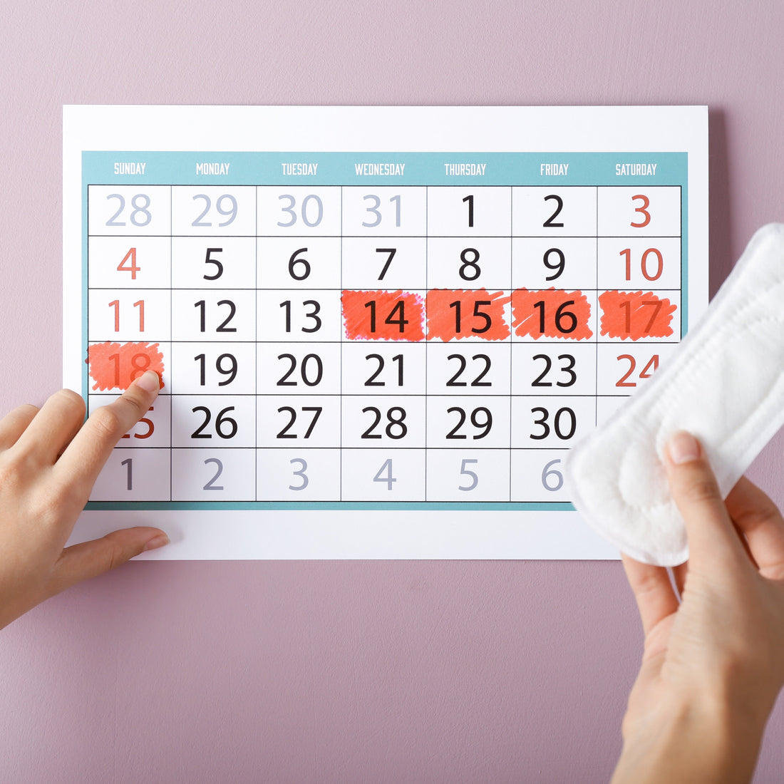 Menstrual Cycle: A Key to Understanding Your Body
