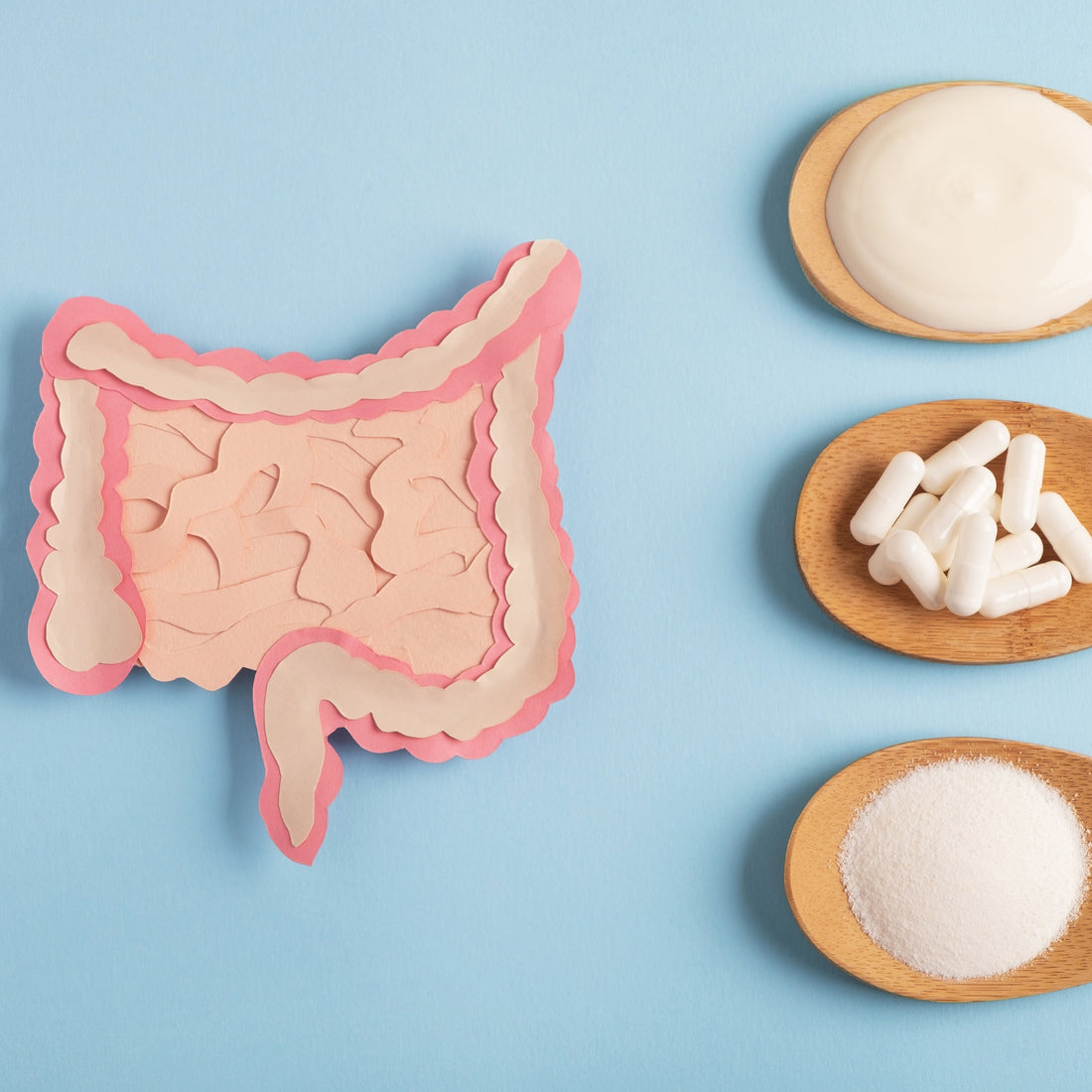 The Role of Probiotics in Intimate Health